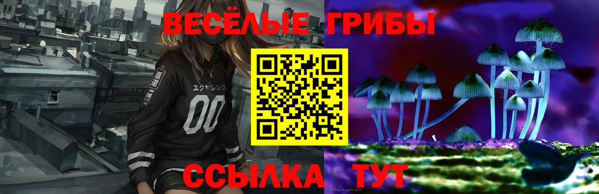 Галлюциногенные грибы прущие грибы Ростов-на-Дону